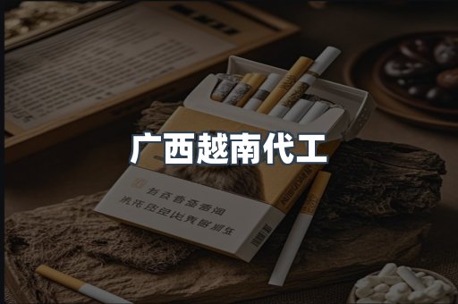 广西越南代工